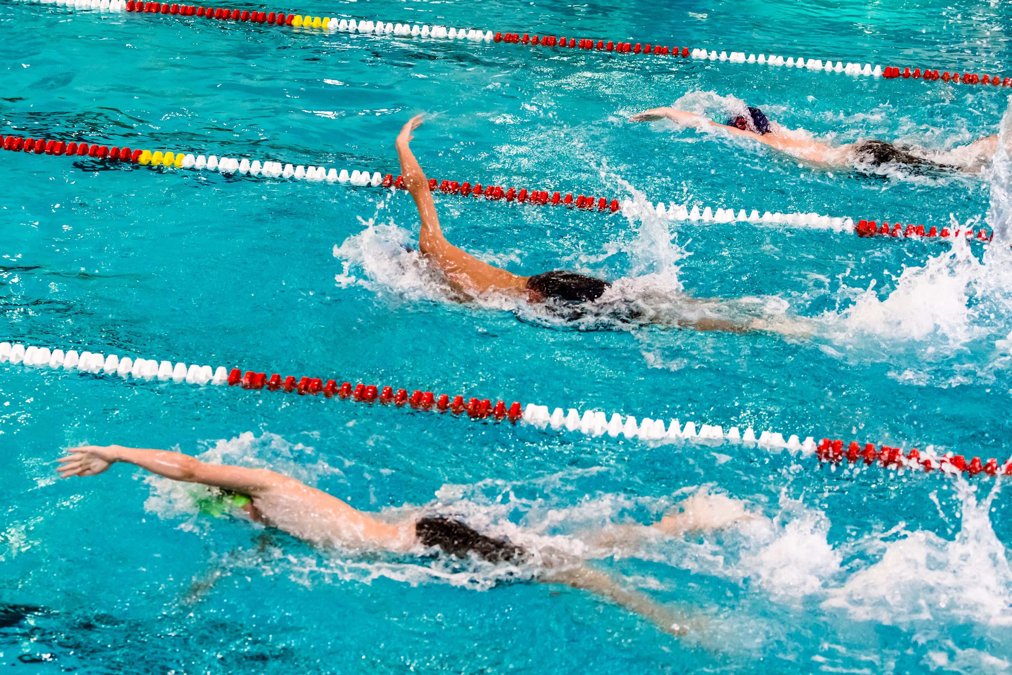 Distance Swimming Races