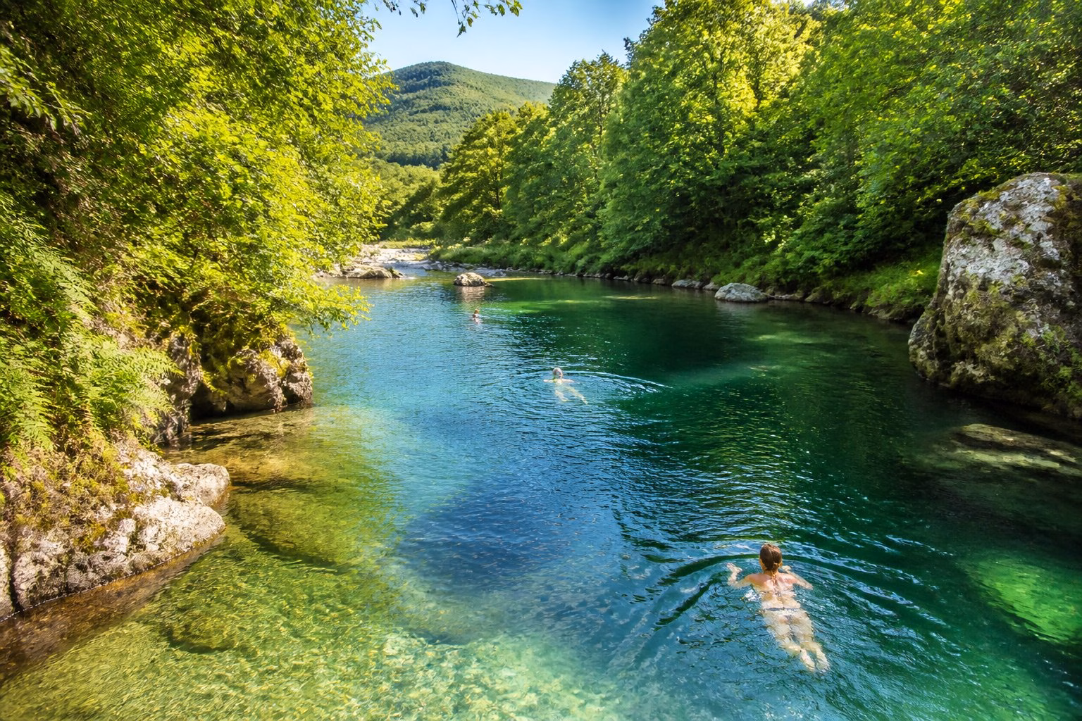 A calm freshwater swimming spot in Cornwall with swimmers in clear water surrounded by green plants and natural rock formations.